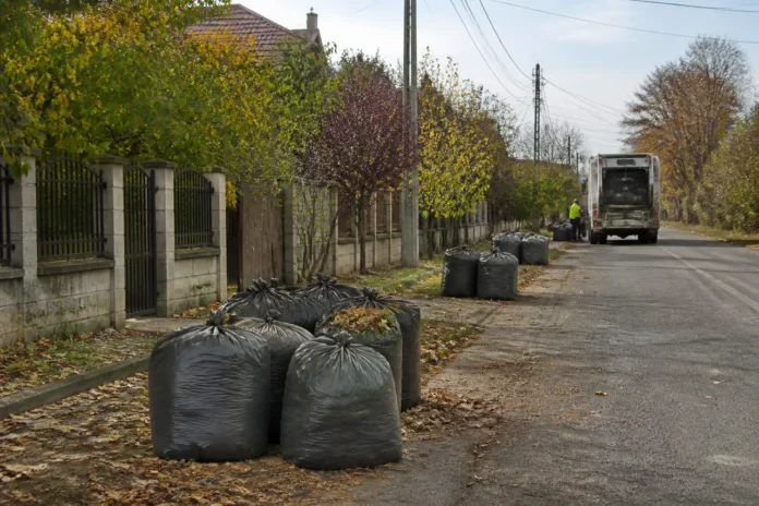 Colectarea deșeurilor vegetale continuă în Bradu. Programul pe zone