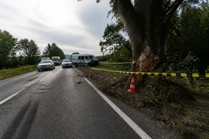 ITM Argeș a sancționat firma de transport implicată în accidentul mortal al maseurului Covaciu