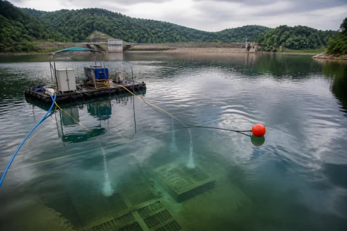 Scafandrii au coborât la 10 metri în Lacul Budeasa pentru curățarea captării de apă