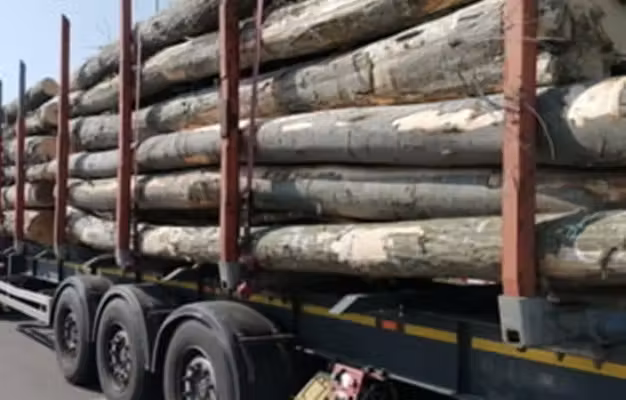 Firmă din Stoenești, amendată cu 10.000 de lei după un control forestier