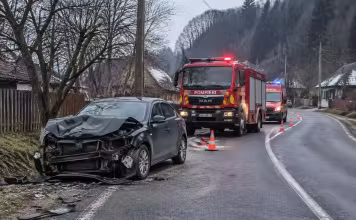 Urs căutat după un impact cu o mașină, în satul Zamfirești din Argeș